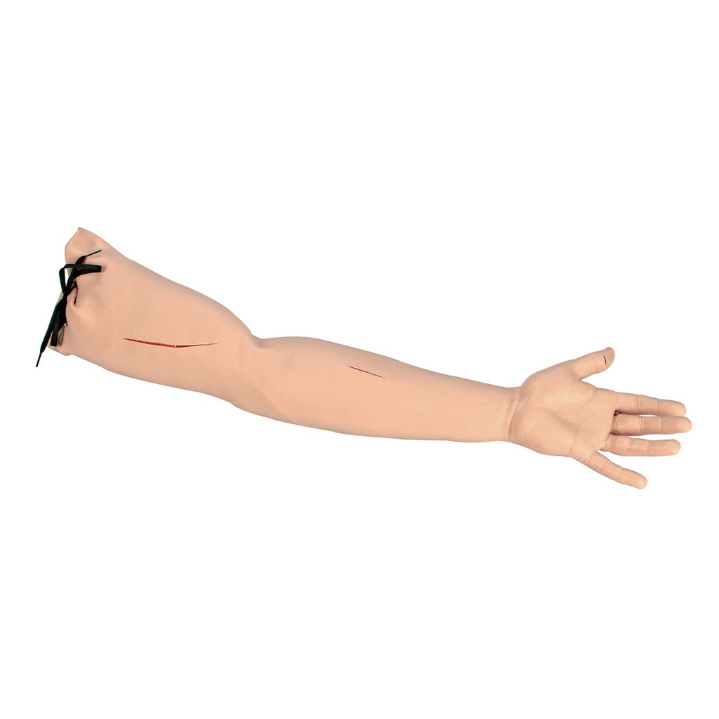 Bras de pratique de suture 3B Scientific®