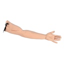 Bras de pratique de suture 3B Scientific®