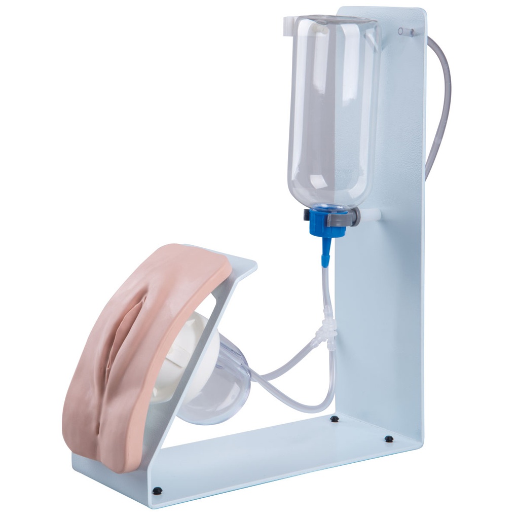 Simulateur de cathétérisme BASIC femme peau claire 3B Scientific®