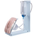 Simulateur de cathétérisme BASIC femme peau claire 3B Scientific®
