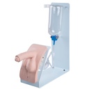 Simulateur de cathétérisme BASIC Homme Peau claire 3B Scientific®