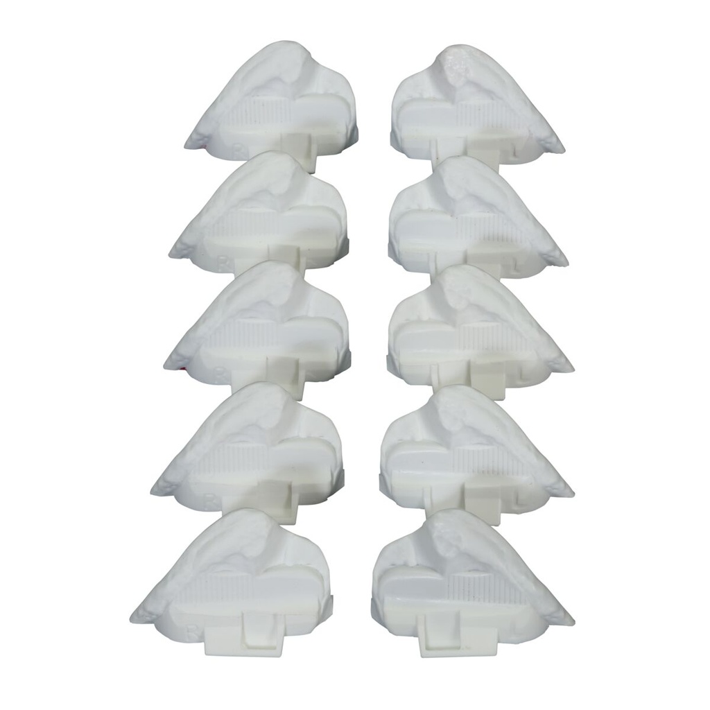 Inserts de crête iliaque droite et gauche Bonnie Bone lot de 5 3B Scientific®