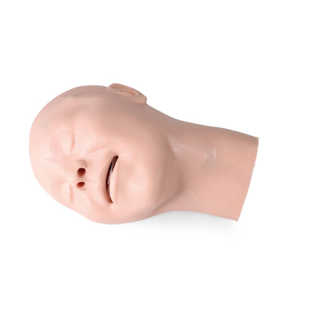 Peau de tête et passage nasal pour enfant X clair 3B Scientific®