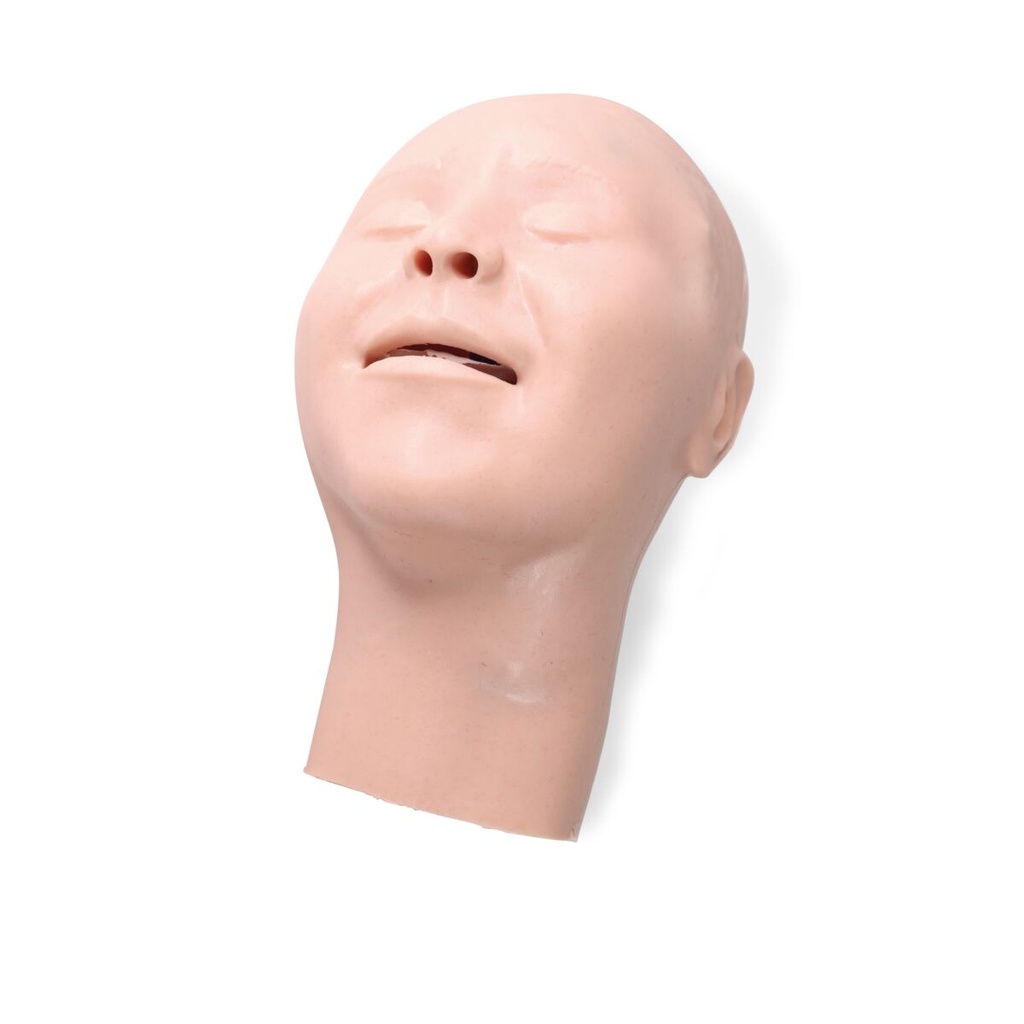 Peau de tête et nasale combo enfant X claire 3B Scientific®