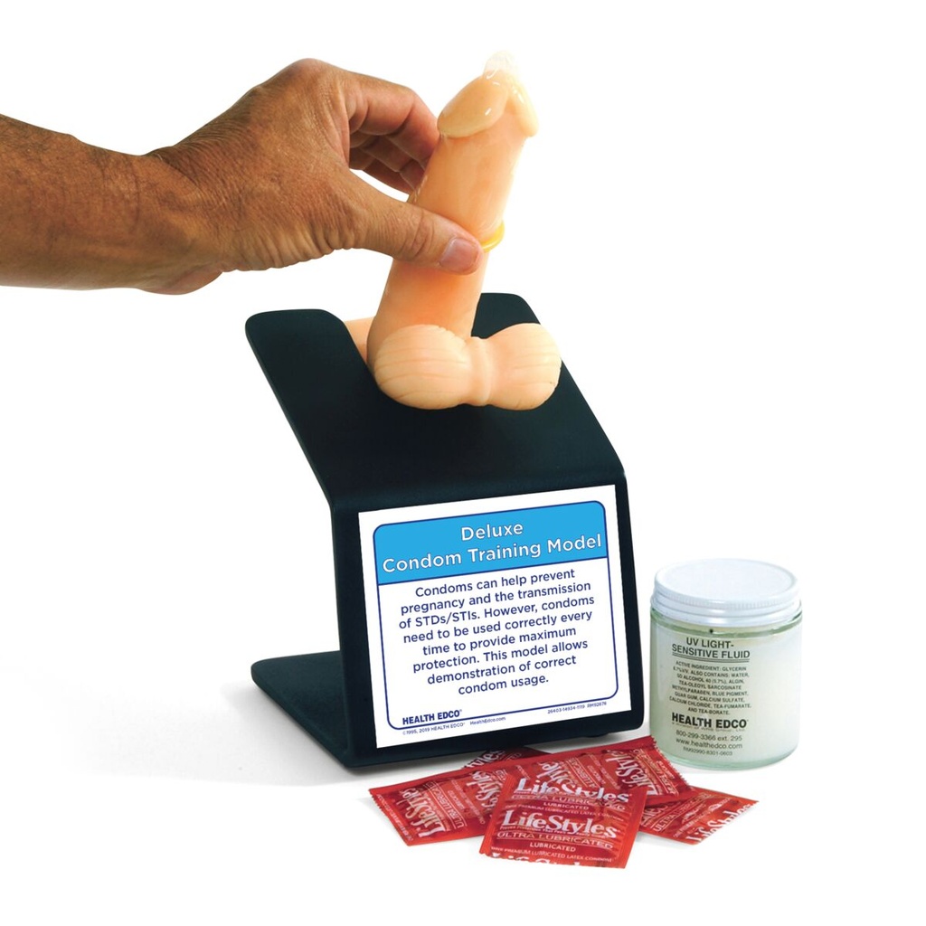 Modèle d'entraînement pour préservatif 3B Scientific®