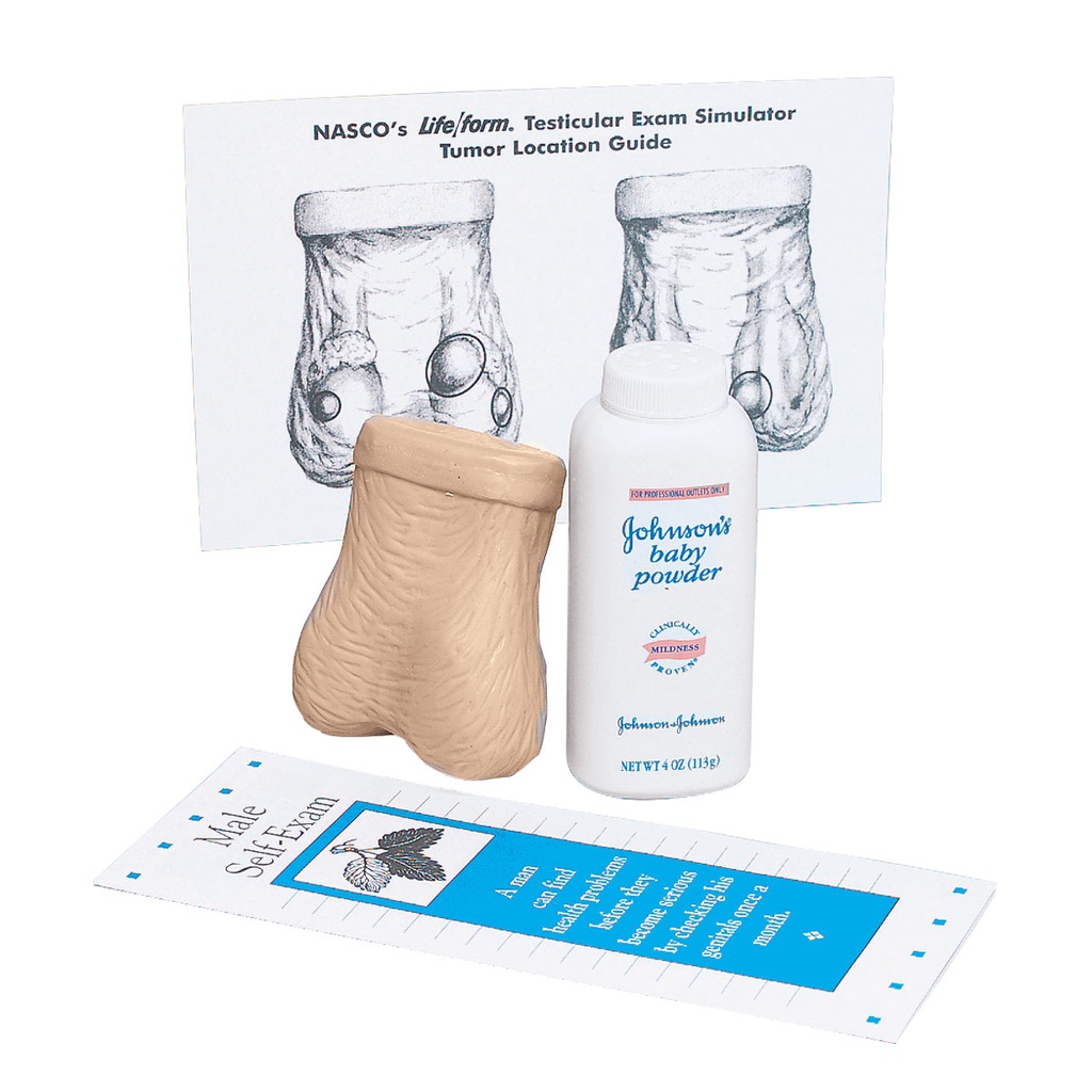 Autoexamen testiculaire 3B Scientific®