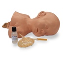 Peau et veines 3B Scientific®