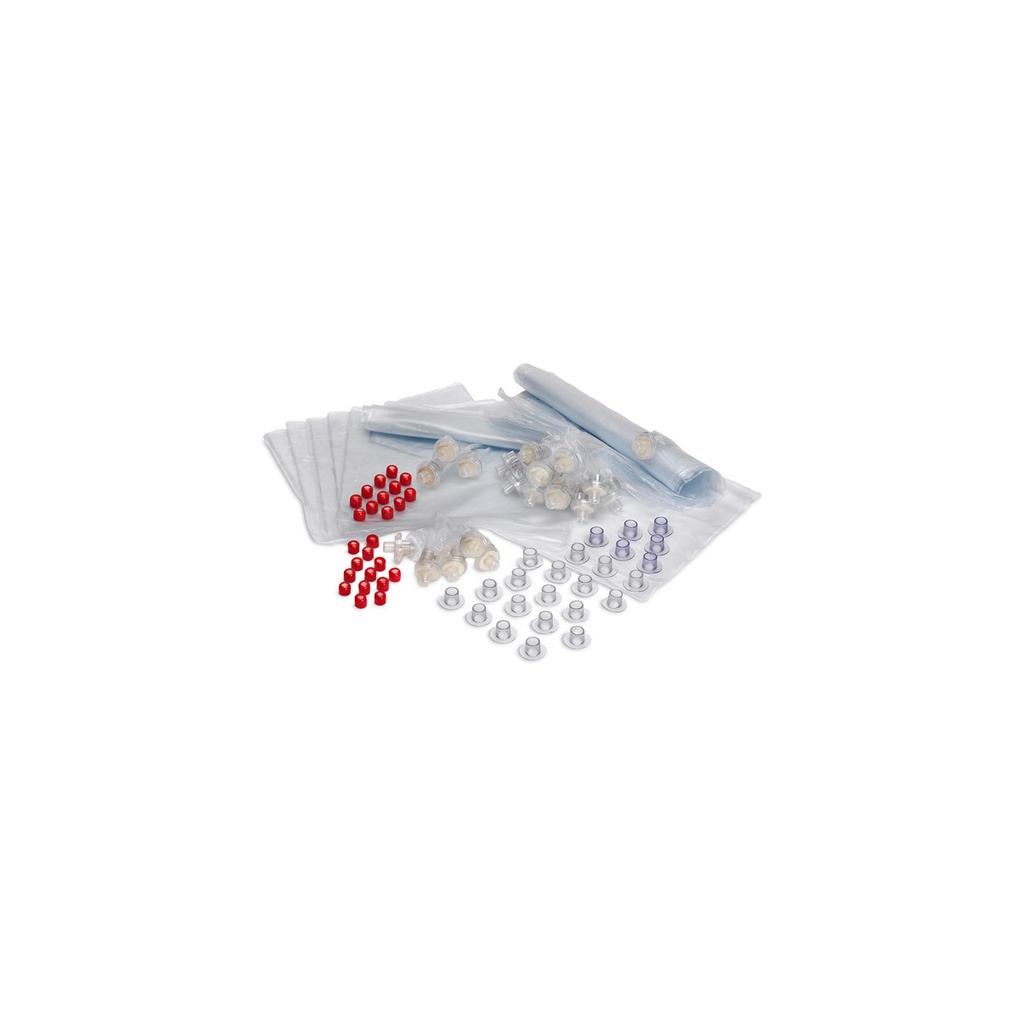 Systèmes pulmonaires et voies respiratoires 3B Scientific®