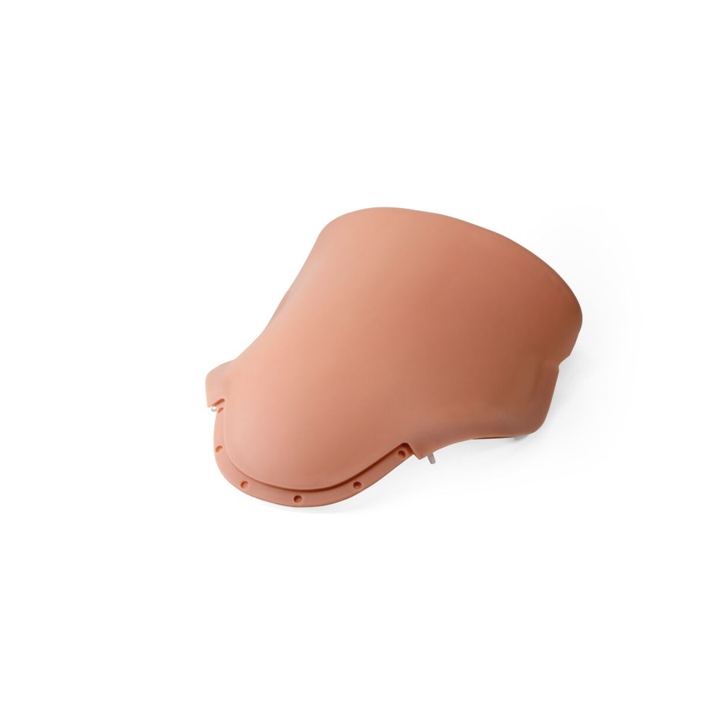 Housse abdominale P91 peau claire 3B Scientific®