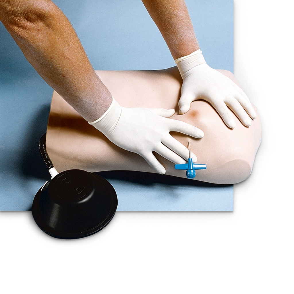 Peau 3B Scientific®