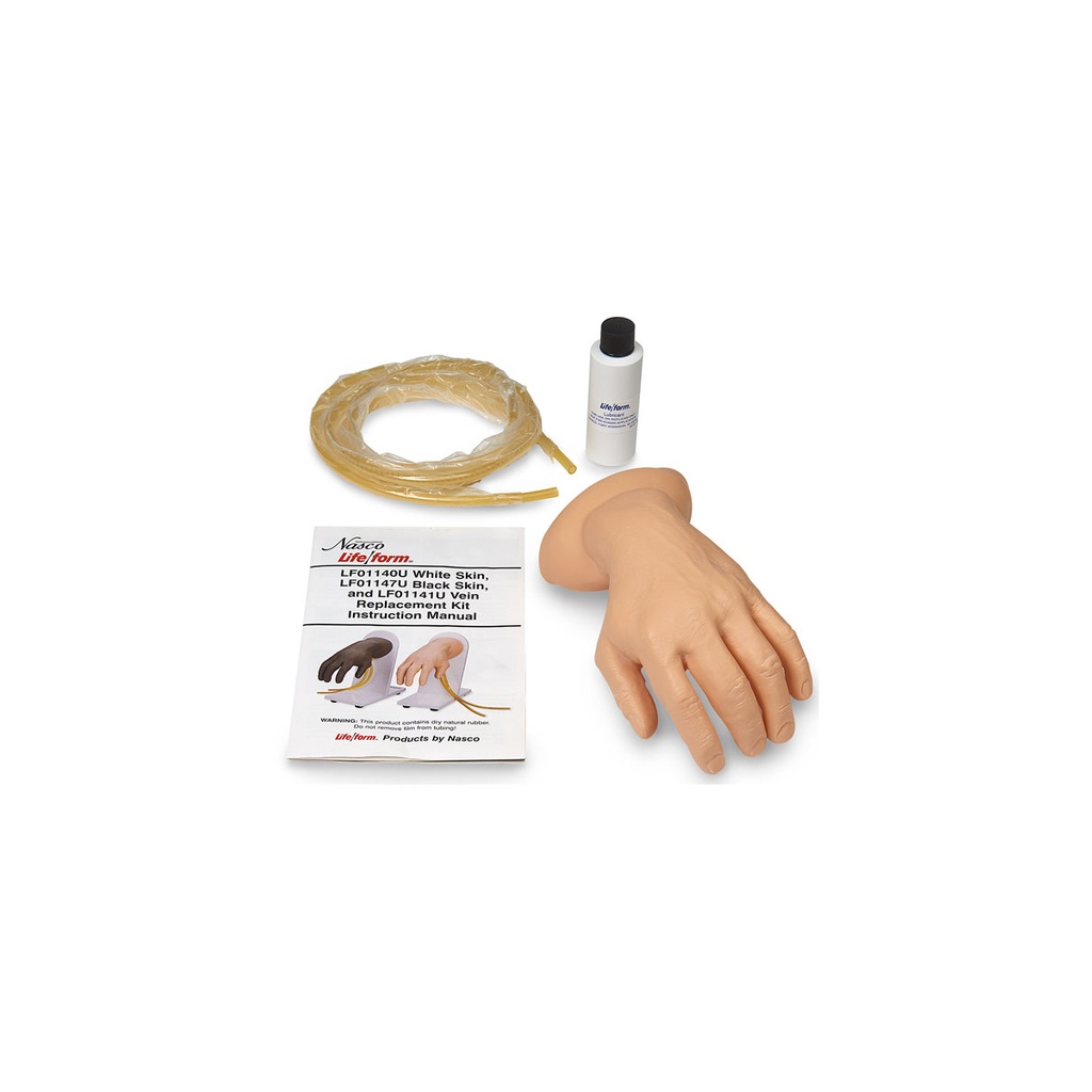 Peau et veines claires pour W44117 3B Scientific®