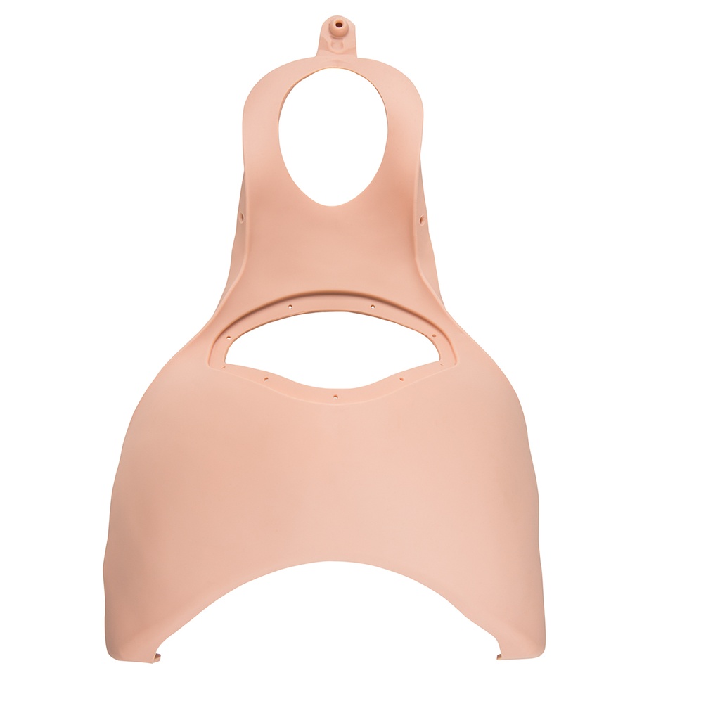 Paroi abdominale P90B 3B Scientific®