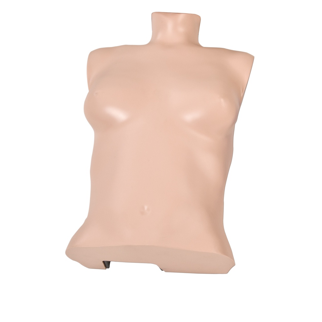 Peau de torse claire P70/71 3B Scientific®