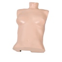 Peau de torse claire P70/71 3B Scientific®