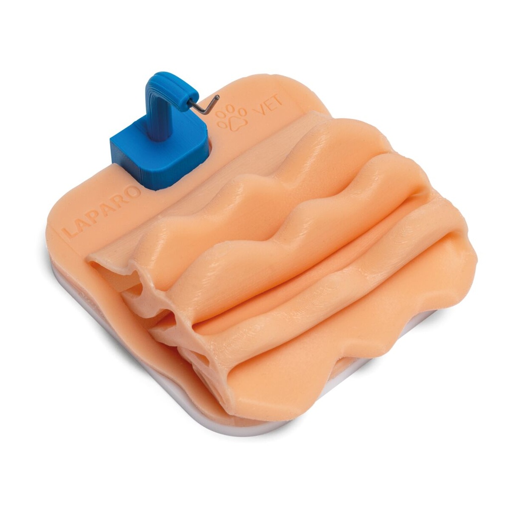 Set Vétérinaire Analytique Avancé 3B Scientific®