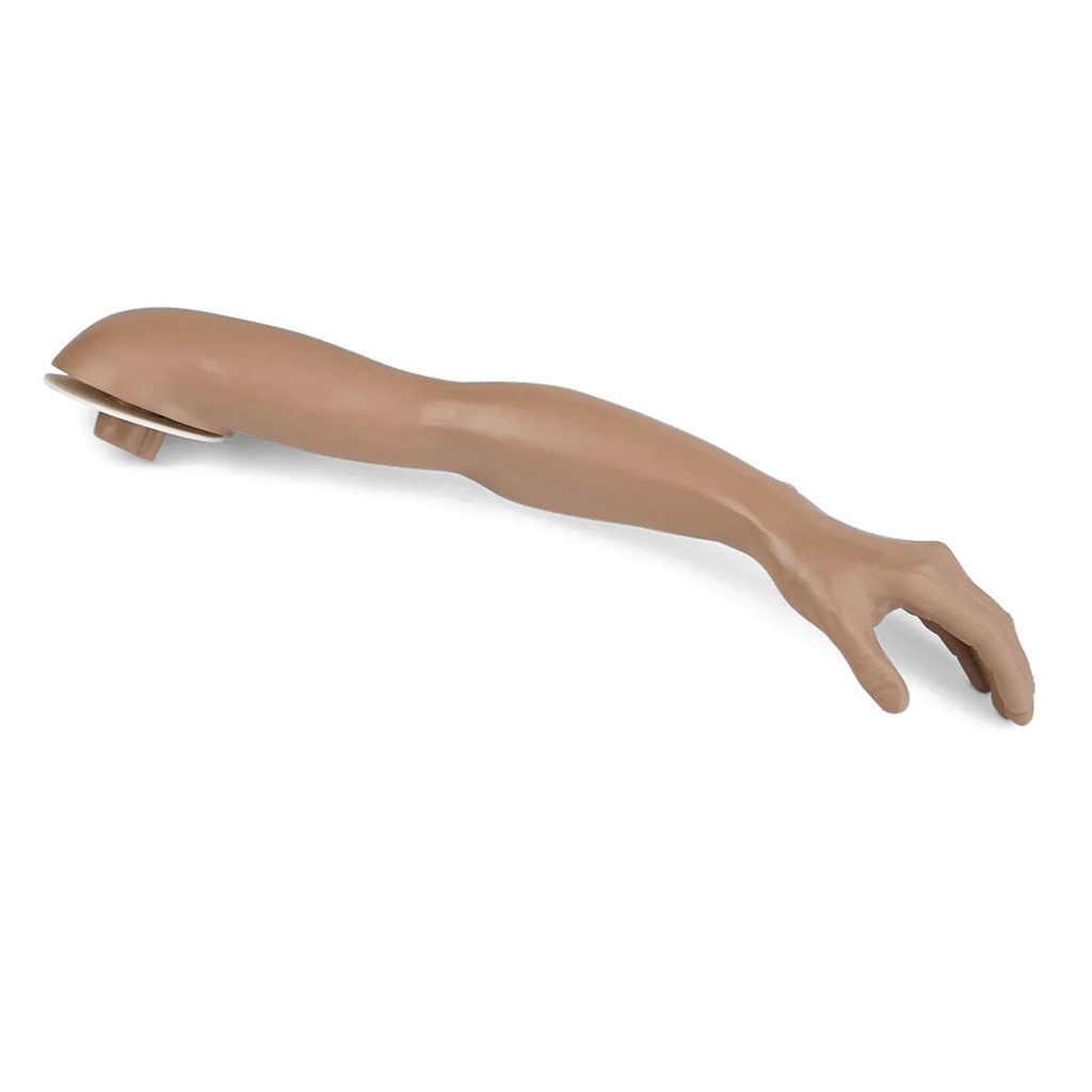 Bras gauche simple pour 1005650 3B Scientific®