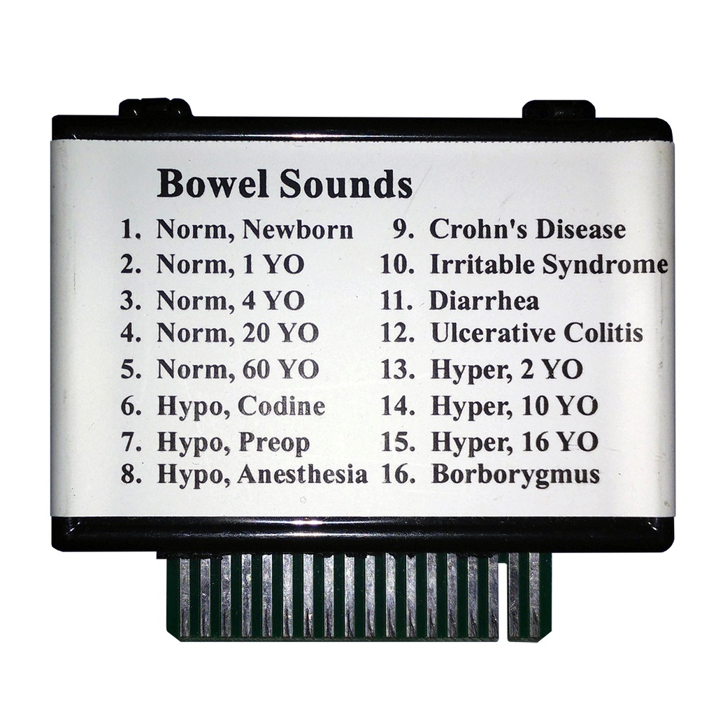 Sons intestinaux pour simulateur 1005884 3B Scientific®