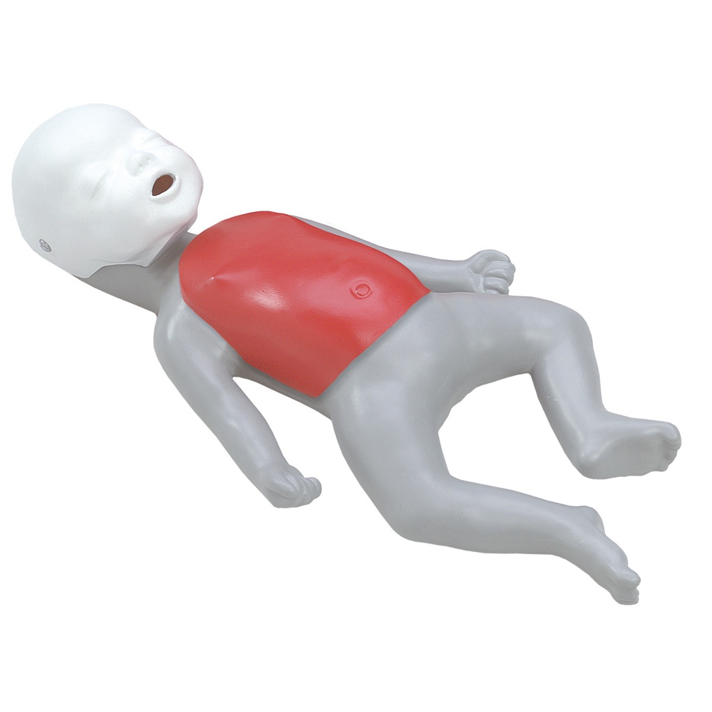 Baby Buddy™ 3B Scientific®