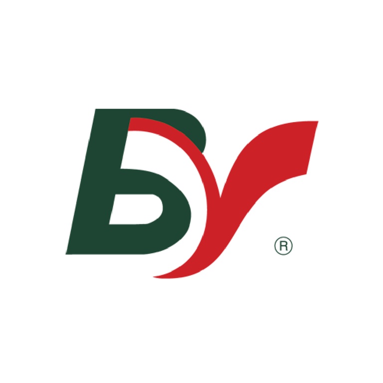 Marque: Bastos Viegas