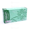 Gants d'examen vinyle non poudré à l'Aloe Vera Blossom