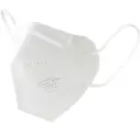 Masque de protection FFP2 Blanc (50)