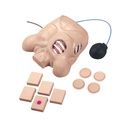 Mannequin pour drainage thoracique 3B Scientific®