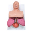 Mannequin d'entraînement à la gestion des voies aériennes adulte 3B Scientific®