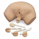 Simulateur d'examen de la prostate 3B Scientific®