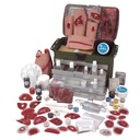 Kit de simulation de blessures de luxe 3B Scientific®