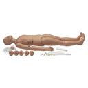 Mannequin RCR corps entier avec option trauma 3B Scientific®