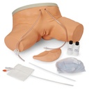 Simulateur de cathétérisme 3B Scientific®