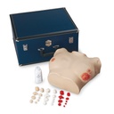 Simulateur d'examen mammaire avancé 3B Scientific®