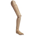 Jambe droite complète pour Keri / Geri 3B Scientific®