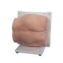 Set d'insert de peau et de crête iliaque Bonnie Bone 3B Scientific®