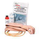 Kit peau et veine 3B Scientific®