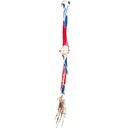 Squelette de bras avec muscles gauche A11 A13 3B Scientific®