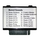 Sons intestinaux pour simulateur 1005884 3B Scientific®